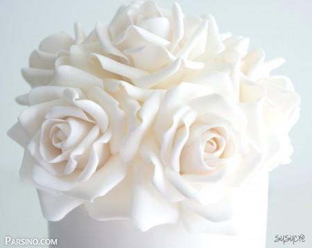 گل , عکس گل رز سفید , گل رز سفید