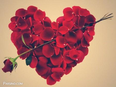گل رز قرمز عاشقانه