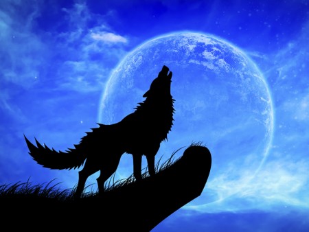 تعبیر دیدن گرگ در خواب , گرگ در خواب نشانه چیست