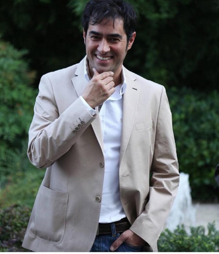 جوایز شهاب حسینی , افتخارات شهاب حسینی