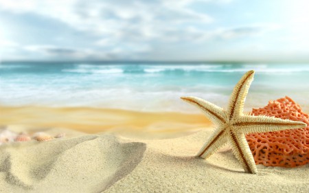 تابستان و ستاره دریایی